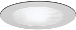 WAC R-651 6" Line Voltage Shower Light