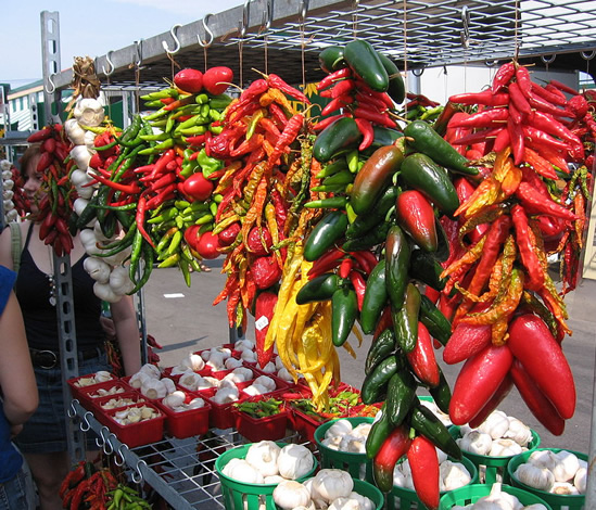 Various kinds of Ristras made with jalapeños, other chili peppers, or garlic Photo by Eric EHM02667 - Southwestern Architecture and Décor – myDesign42