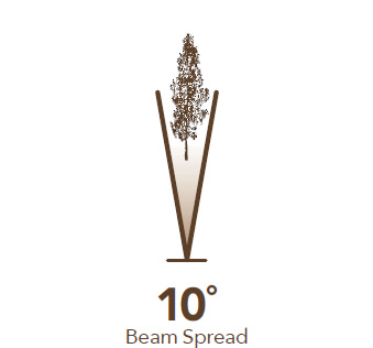 10° Beam Spread