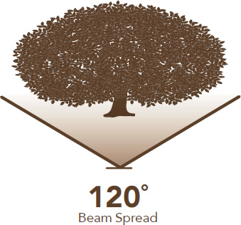 120° Beam Spread