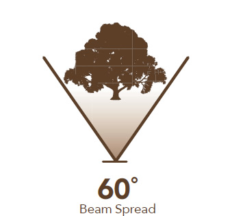 60° Beam Spread