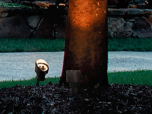 The two lights that are lighting the tree