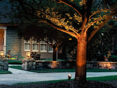 Tree lit with Kichler Landscape Lighting