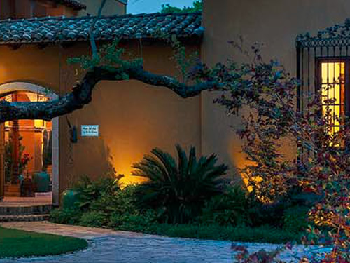 Kichler landscape lights are behind the plants so that the silhouette is featured in contrast. - Landscape Lighting Beam Spread and Light Control: Light where you want it