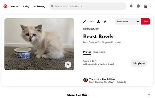 Calamity Ware Beast Bowl on Pinterest