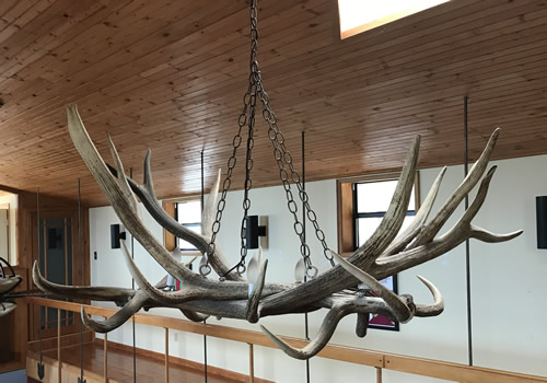 Antler Chandelier