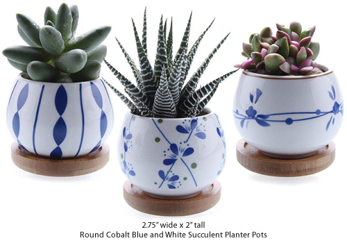 SQOWL Blue Flower Pots Round Ceramic Succulent Herbs Planters Small to Medium Sized with Connected Saucers for Home Balcony Office Set of 3 Indoor Outdoor 